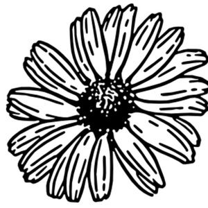 Meet your Posher, Dani